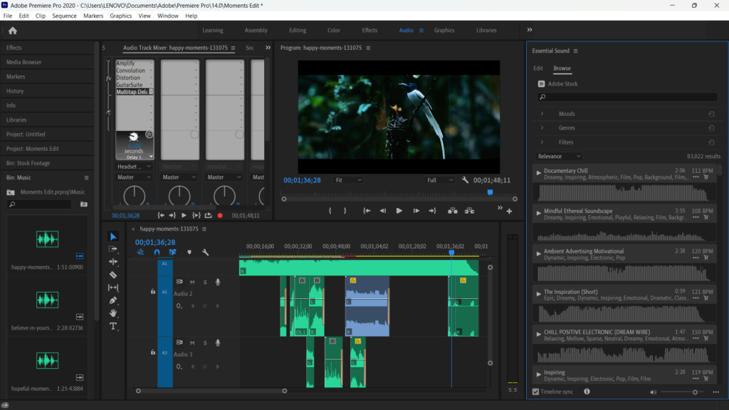 premiere pro editing 