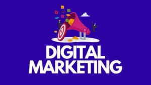 Website Development Course
